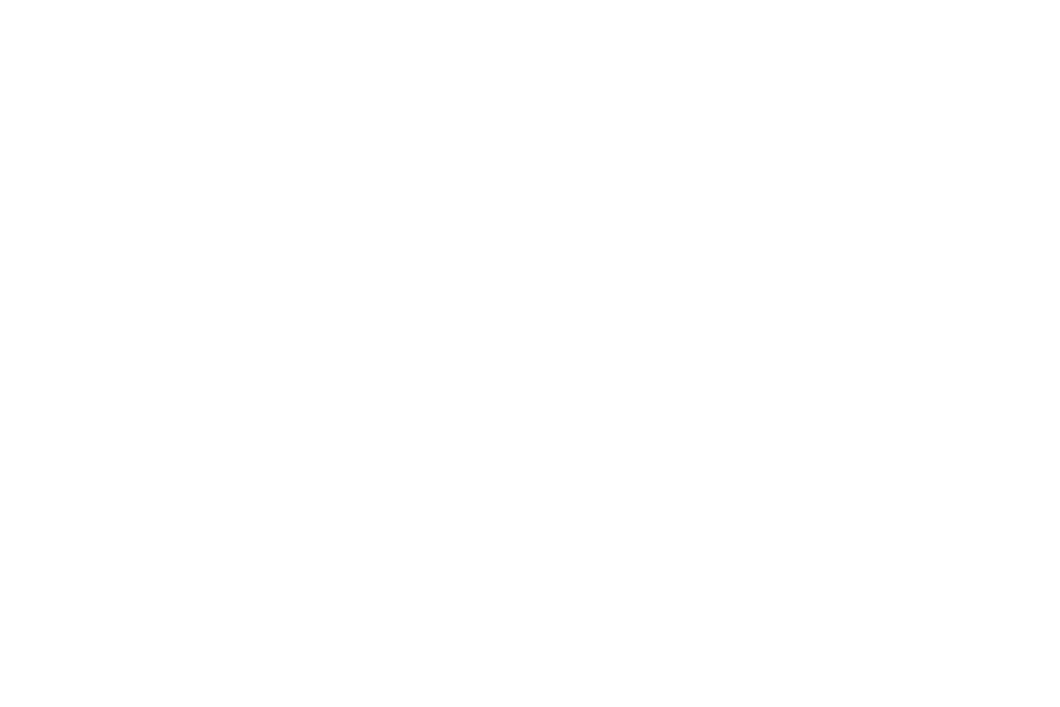 Emerce 100 badge New Orange